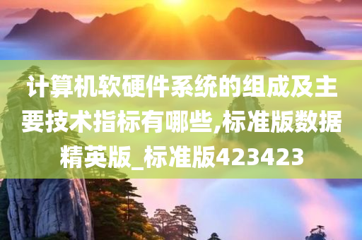 计算机软硬件系统的组成及主要技术指标有哪些,标准版数据精英版_标准版423423