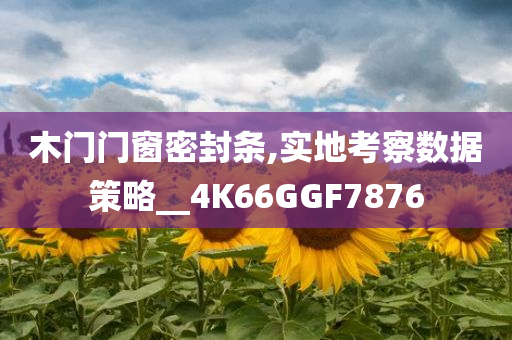 木门门窗密封条,实地考察数据策略__4K66GGF7876