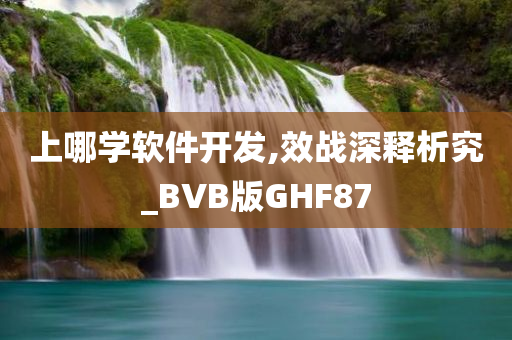 上哪学软件开发,效战深释析究_BVB版GHF87
