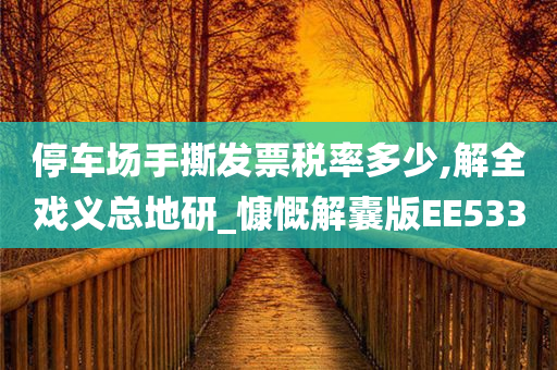 停车场手撕发票税率多少,解全戏义总地研_慷慨解囊版EE533