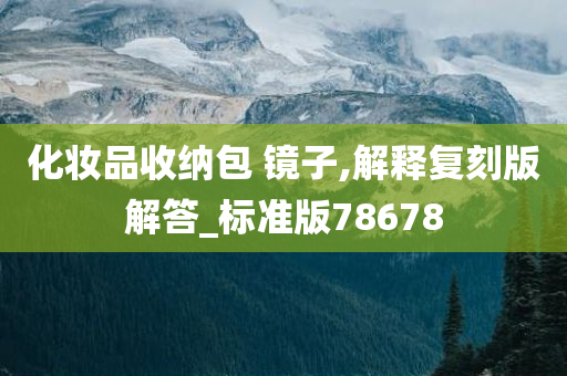 化妆品收纳包 镜子,解释复刻版解答_标准版78678