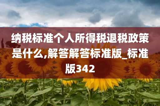 纳税标准个人所得税退税政策是什么,解答解答标准版_标准版342