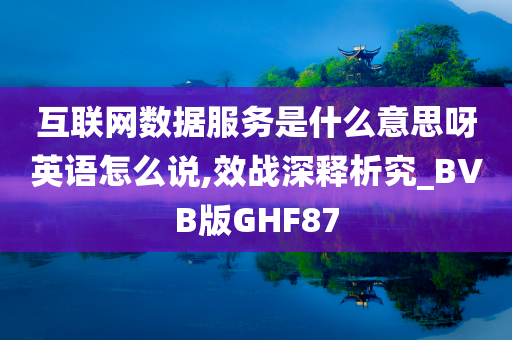 互联网数据服务是什么意思呀英语怎么说,效战深释析究_BVB版GHF87