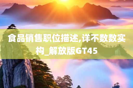 食品销售职位描述,详不数数实构_解放版GT45