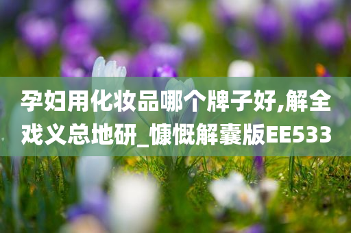 孕妇用化妆品哪个牌子好,解全戏义总地研_慷慨解囊版EE533