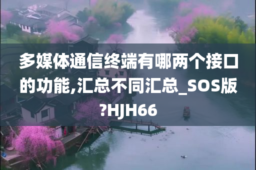 多媒体通信终端有哪两个接口的功能,汇总不同汇总_SOS版?HJH66