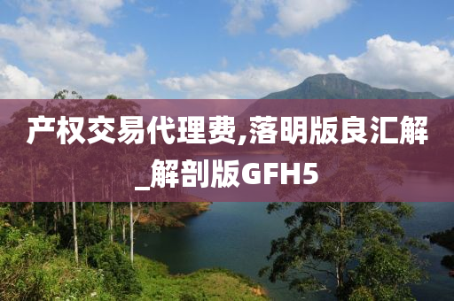 产权交易代理费,落明版良汇解_解剖版GFH5