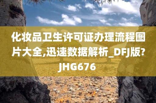 化妆品卫生许可证办理流程图片大全,迅速数据解析_DFJ版?JHG676