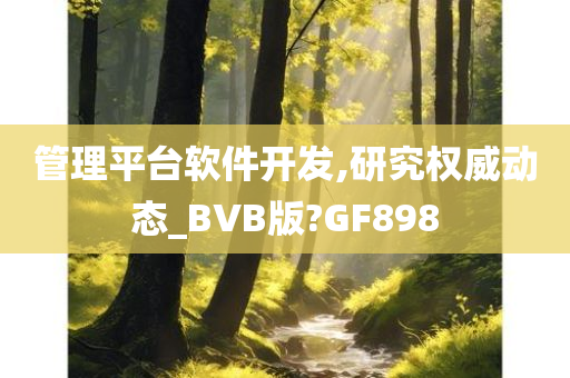 管理平台软件开发,研究权威动态_BVB版?GF898
