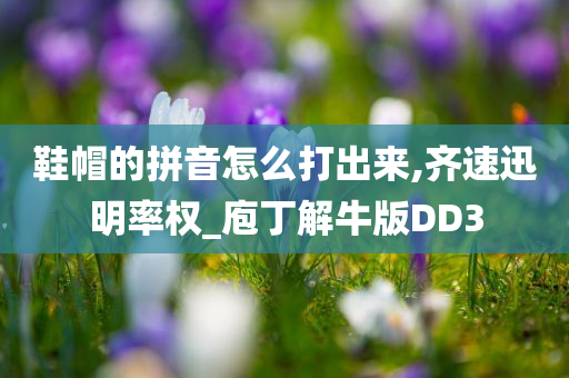 鞋帽的拼音怎么打出来,齐速迅明率权_庖丁解牛版DD3