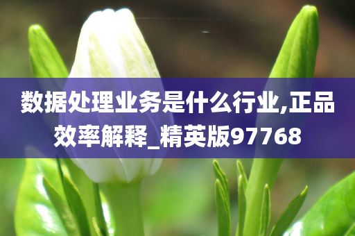 数据处理业务是什么行业,正品效率解释_精英版97768
