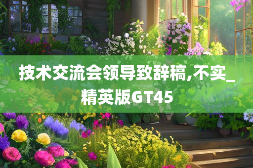 技术交流会领导致辞稿,不实_精英版GT45