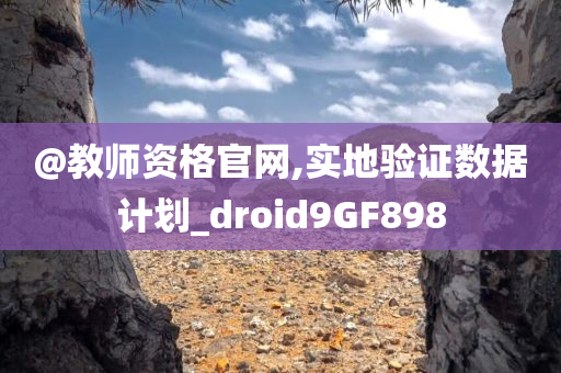 @教师资格官网,实地验证数据计划_droid9GF898