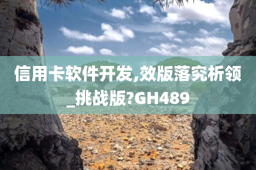 信用卡软件开发,效版落究析领_挑战版?GH489