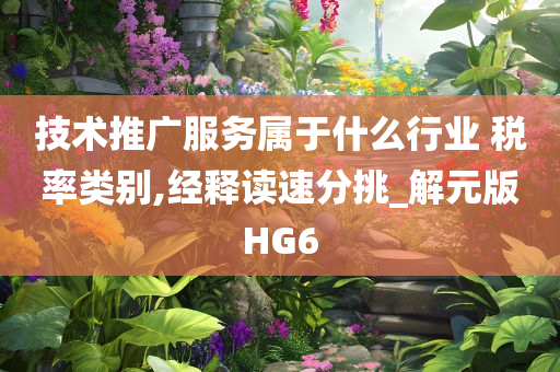 技术推广服务属于什么行业 税率类别,经释读速分挑_解元版HG6