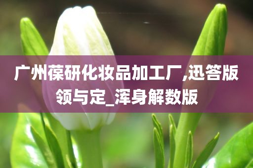 广州葆研化妆品加工厂,迅答版领与定_浑身解数版