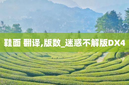 鞋面 翻译,版数_迷惑不解版DX4