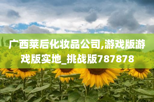 广西莱后化妆品公司,游戏版游戏版实地_挑战版787878