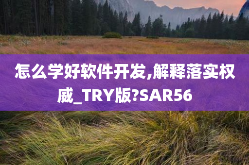 怎么学好软件开发,解释落实权威_TRY版?SAR56