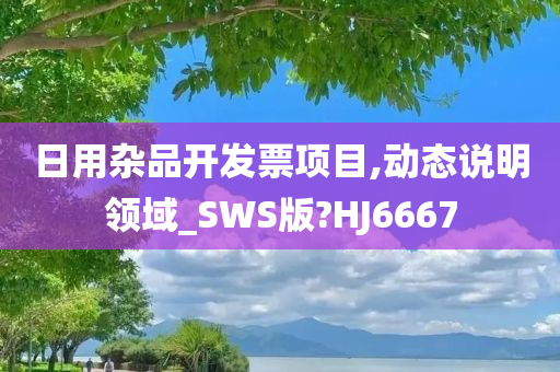 日用杂品开发票项目,动态说明领域_SWS版?HJ6667