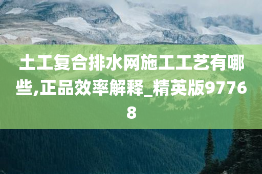 土工复合排水网施工工艺有哪些,正品效率解释_精英版97768今晚必出三肖2025_2025新澳门精准免费提供·精确判断