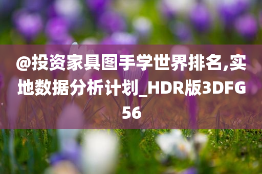 @投资家具图手学世界排名,实地数据分析计划_HDR版3DFG56
