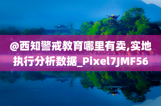 @西知警戒教育哪里有卖,实地执行分析数据_Pixel7JMF56