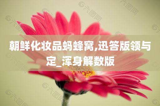 朝鲜化妆品蚂蜂窝,迅答版领与定_浑身解数版