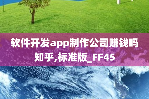 软件开发app制作公司赚钱吗知乎,标准版_FF45