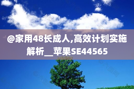 @家用48长成人,高效计划实施解析__苹果SE44565