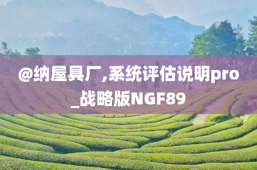 @纳屋具厂,系统评估说明pro_战略版N今晚必出三肖2025_2025新澳门精准免费提供·精确判断GF89