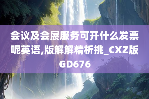 会议及会展服务可开什么发票呢英语,版解解精析挑_CXZ版GD676