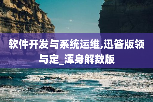 软件开发与系统运维,迅答版领与定_浑身解数版