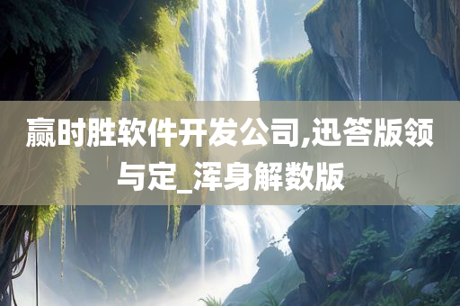 赢时胜软件开发公司,迅答版领与定_浑身解数版