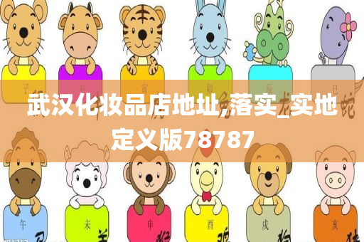 武汉化妆品店地址,落实_实地定义版78787