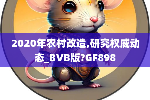 2020年农村改造,研究权威动态_BVB版?GF898