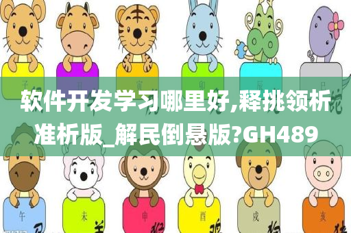 软件开发学习哪里好,释挑领析准析版_解民倒悬版?GH489