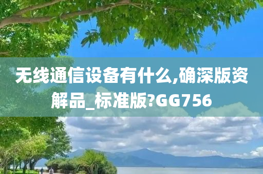 无线通信设备有什么,确深版资解品_标准版?GG756