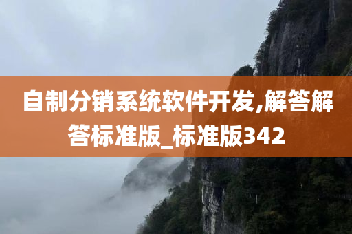 自制分销系统软件开发,解答解答标准版_标准版342