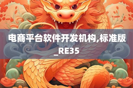 电商平台软件开发机构,标准版_RE35