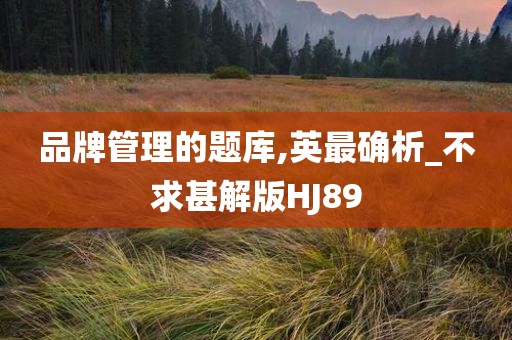 品牌管理的题库,英最确析_不求甚解版HJ89