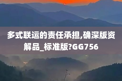 多式联运的责任承担,确深版资解品_标准版?GG756