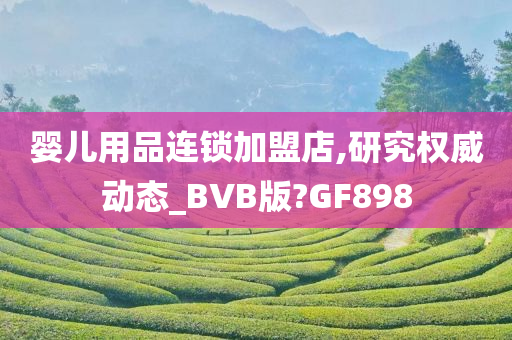 婴儿用品连锁加盟店,研究权威动态_BVB版?GF898