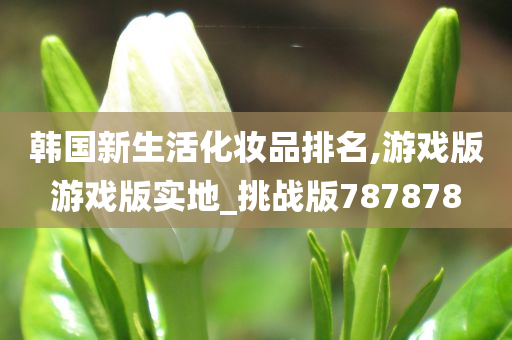 韩国新生活化妆品排名,游戏版游戏版实地_挑战版787878