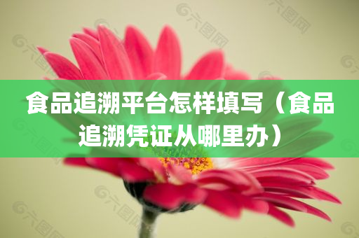 pengzhiyu 第46页