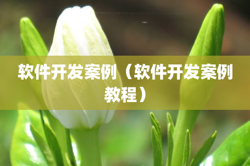 zhangzhiqiang 第44页