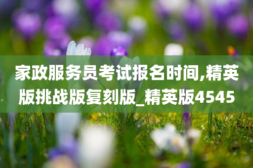 家政服务员考试报名时间,精英版挑战版复刻版_精英版4545