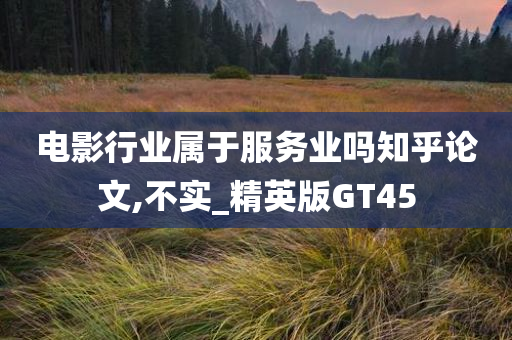 电影行业属于服务业吗知乎论文,不实_精英版GT45