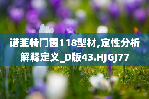 诺菲特门窗118型材,定性分析解释定义_D版43.HJGJ77