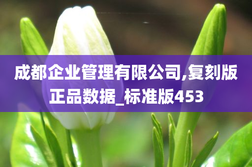成都企业管理有限公司,复刻版正品数据_标准版453今晚必出三肖2025_2025新澳门精准免费提供·精确判断
